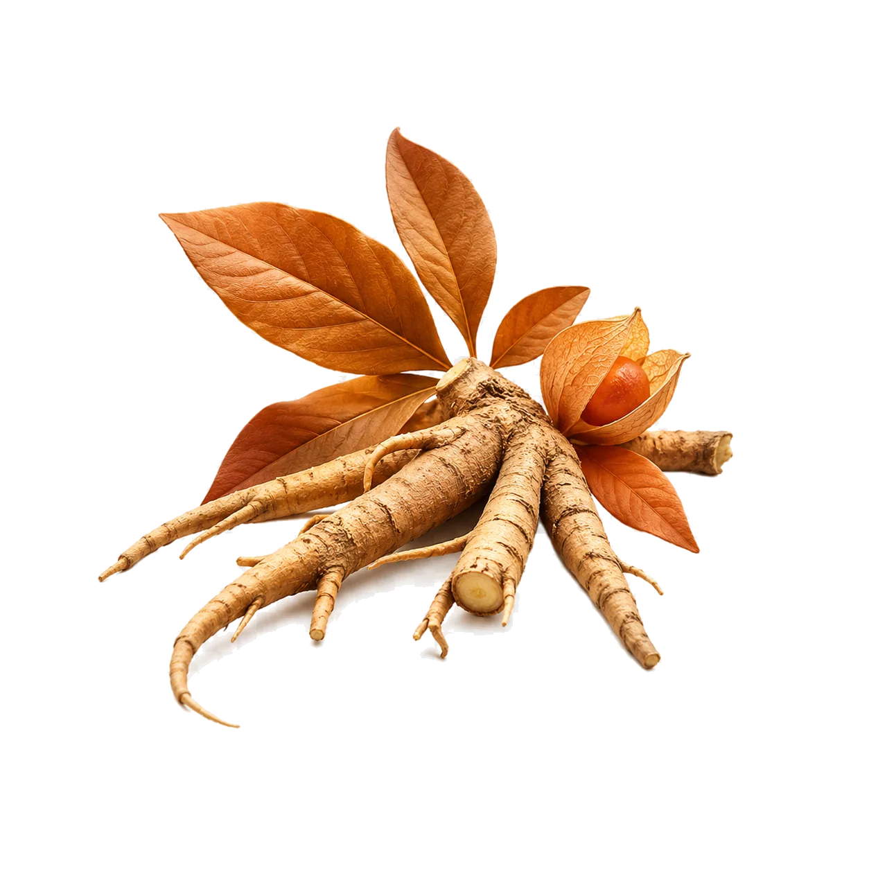 Ashwagandha KSM-66